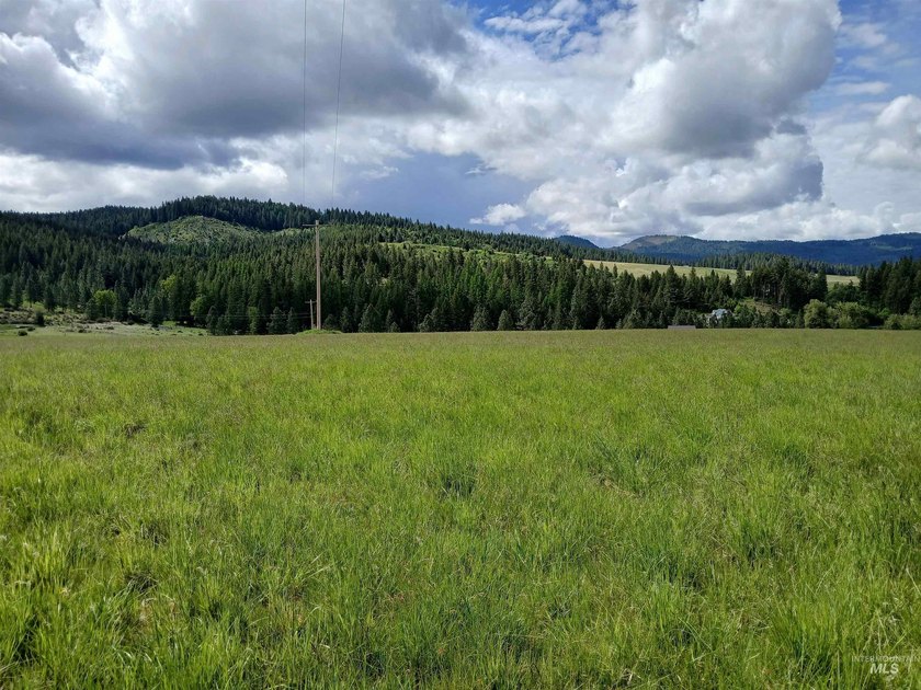 Rare hilltop acreage with 360 degree views in all directions - photo 7