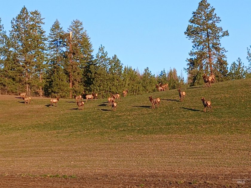 Rare hilltop acreage with 360 degree views in all directions - photo 8