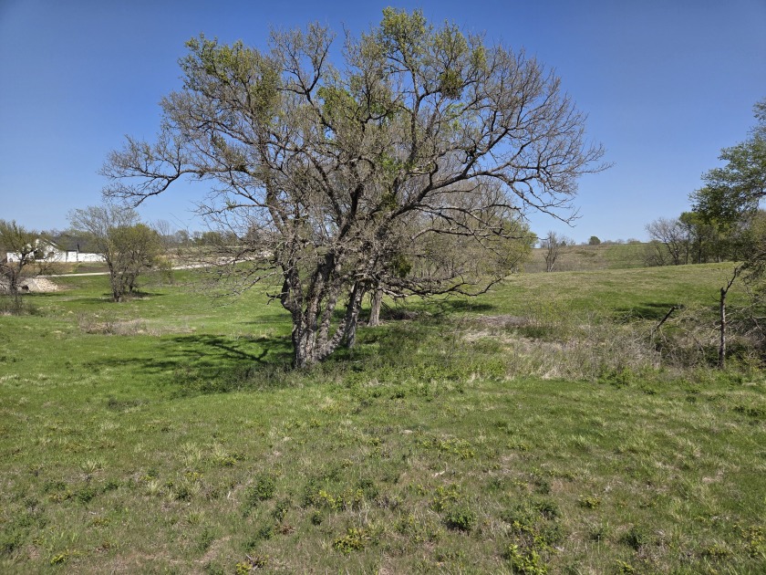 Double lots with Peek a boo lake views on Lake Halbert - photo 29