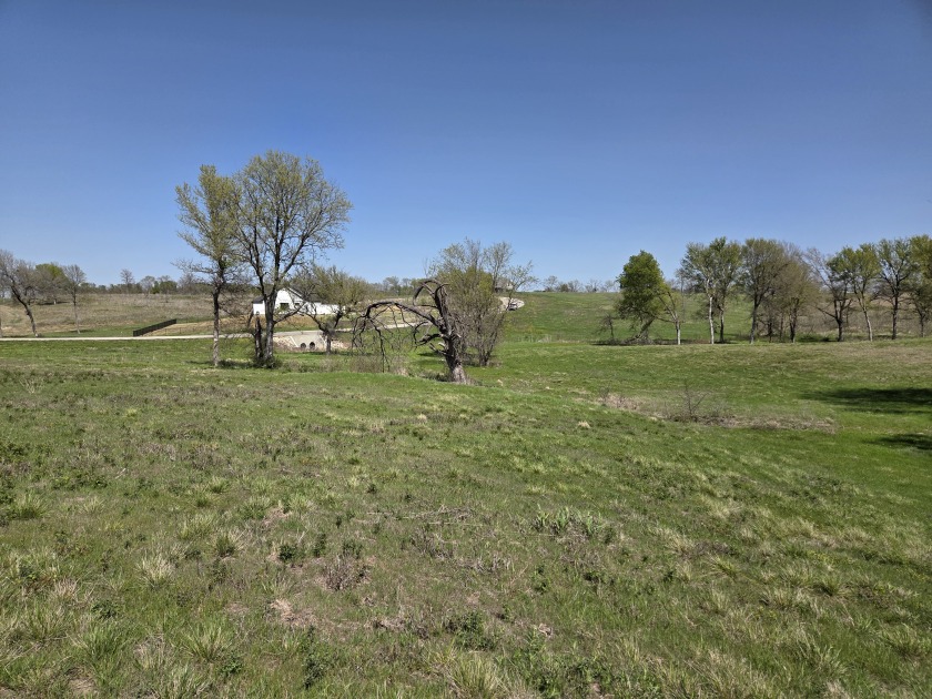 Double lots with Peek a boo lake views on Lake Halbert - photo 30