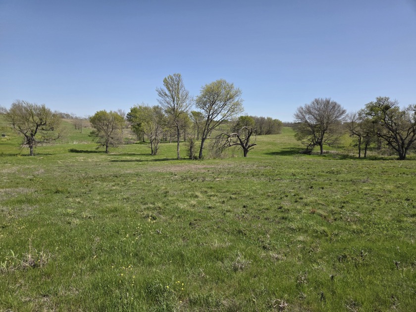 Double lots with Peek a boo lake views on Lake Halbert - photo 31