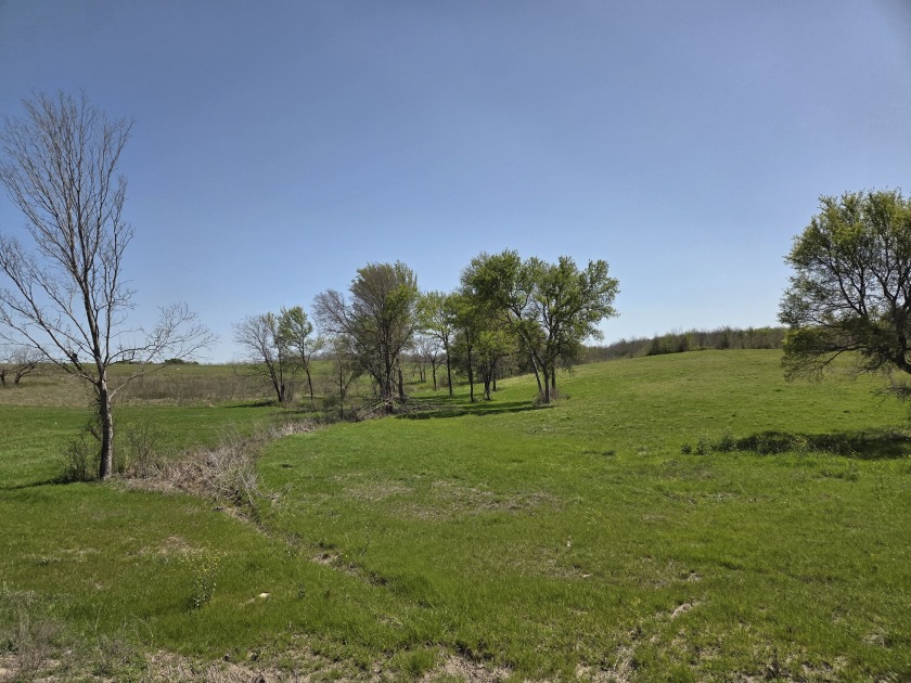 Double lots with Peek a boo lake views on Lake Halbert - photo 26