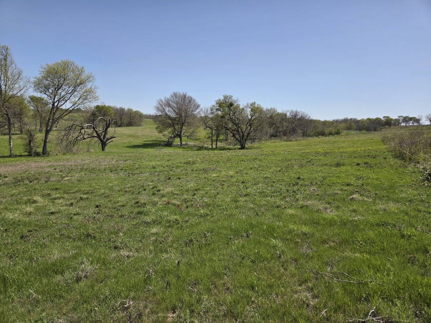 Double lots with Peek a boo lake views on Lake Halbert - photo 15