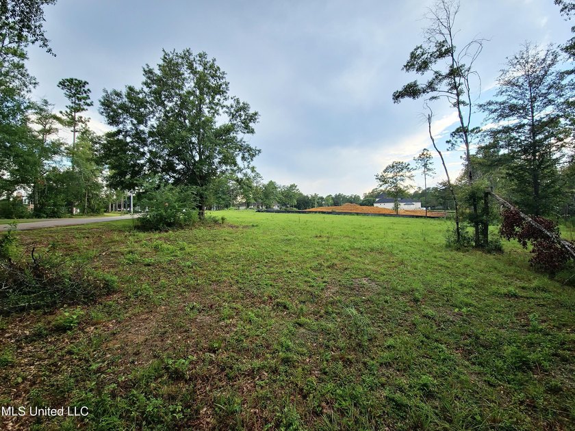 LUXURIOUS 1.4 Acre CLEARED LOT in Prestigious Florence Gardens - photo 2