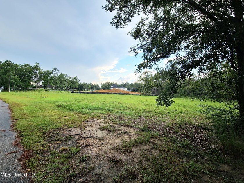 LUXURIOUS 1.4 Acre CLEARED LOT in Prestigious Florence Gardens - photo 3