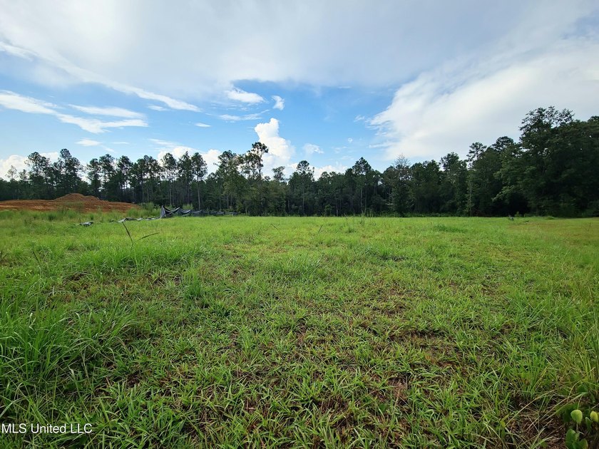 LUXURIOUS 1.4 Acre CLEARED LOT in Prestigious Florence Gardens - photo 4