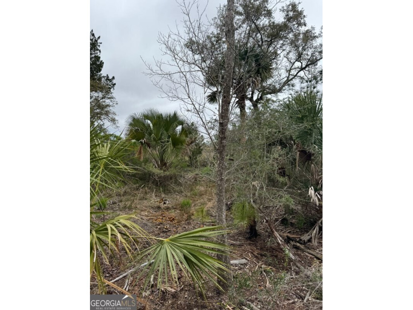 Beautiful marsh front lot with a spectacular sunrise over - photo 2