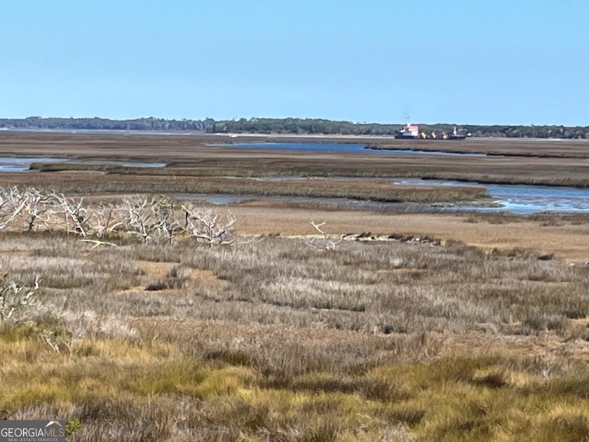 Beautiful marsh front lot with a spectacular sunrise over - photo 3
