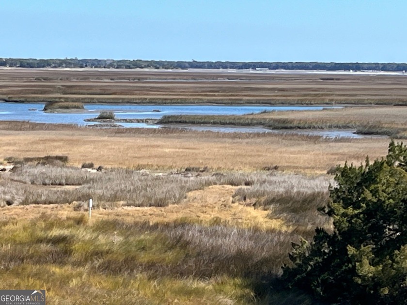 Beautiful marsh front lot with a spectacular sunrise over - photo 4