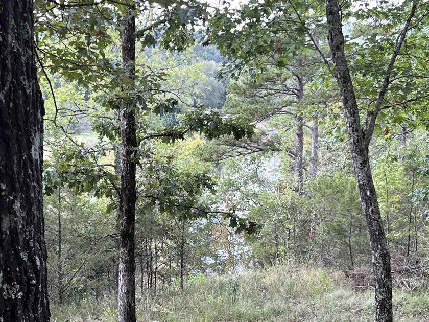Nestled on 20 beautiful wooded acres, this 3-bedroom, 2-bath - photo 27