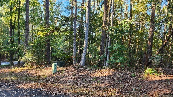 Heritage Shores is a prestigious subdivision on beautiful Lake - photo 6