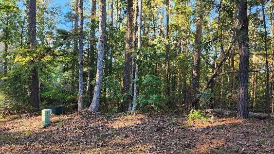Heritage Shores is a prestigious subdivision on beautiful Lake - photo 7