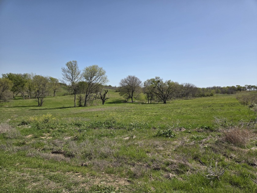 Double lots with Peek a boo lake views on Lake Halbert - photo 27