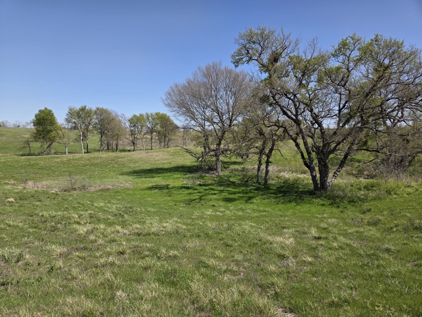 Double lots with Peek a boo lake views on Lake Halbert - photo 28