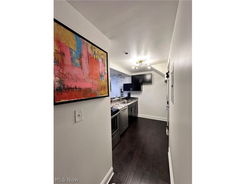Income Producing Downtown Loft - $1450/mo Tenant in Place - photo 6