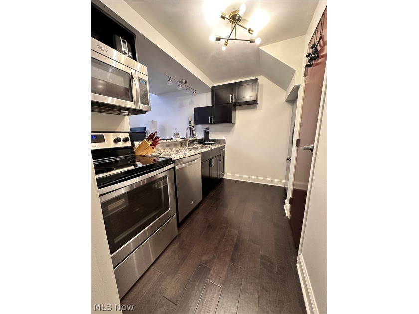Income Producing Downtown Loft - $1450/mo Tenant in Place - photo 7