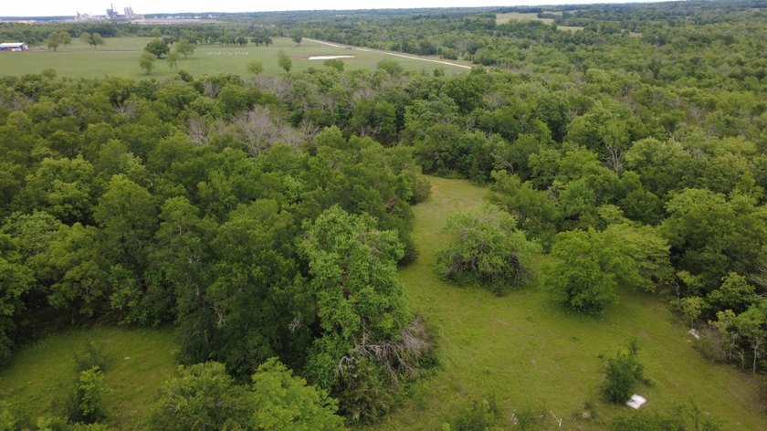 26.5 Acres - Hunting, Livestock, or Build Site If you've been - photo 13