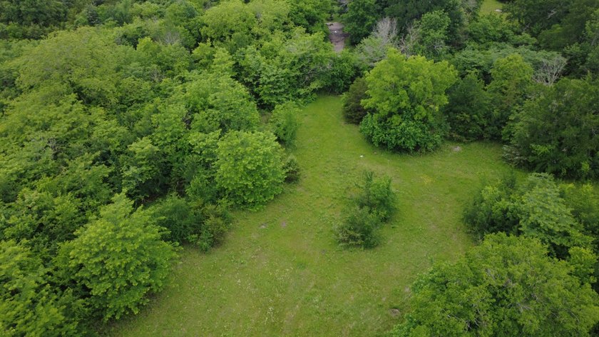 26.5 Acres - Hunting, Livestock, or Build Site If you've been - photo 15