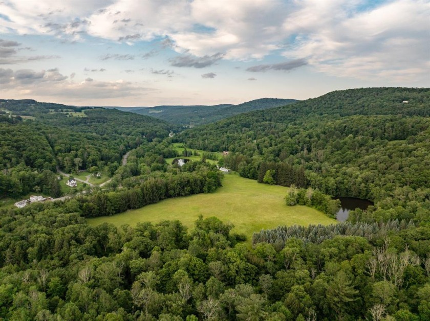 Farmhouse with 2 Ponds on 87+ Acres - photo 10