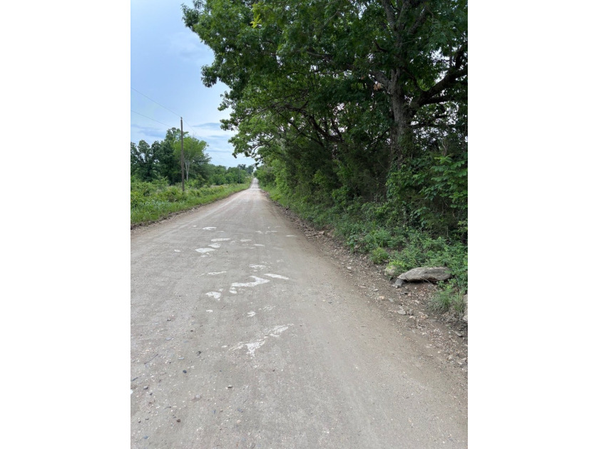 26.5 Acres - Hunting, Livestock, or Build Site If you've been - photo 18