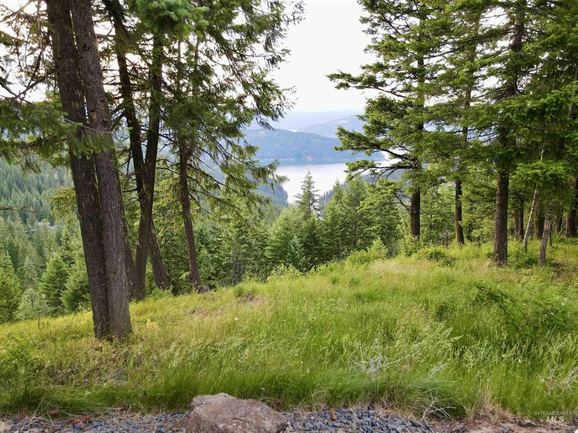 Log home with views of Dworshak Reservoir! This exceptional - photo 7