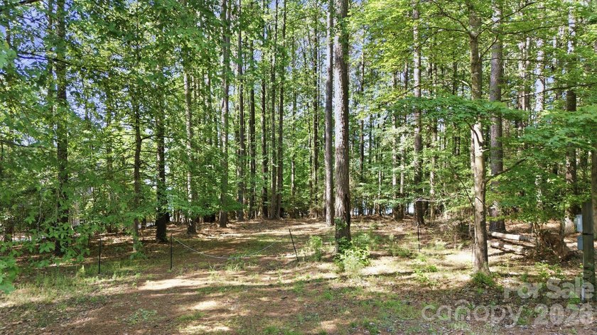 A rare chance to own one of Lake Norman's premier waterfront - photo 6