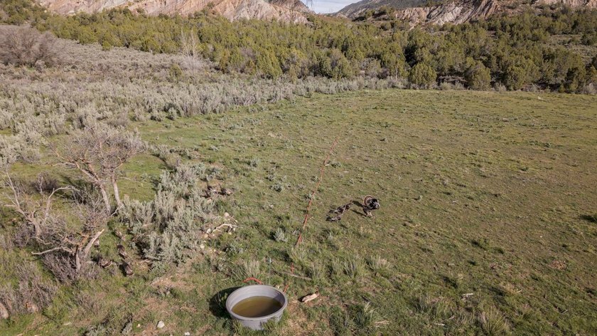 Located between Rifle and Meeker, this 1,273+/- deeded acre - photo 8