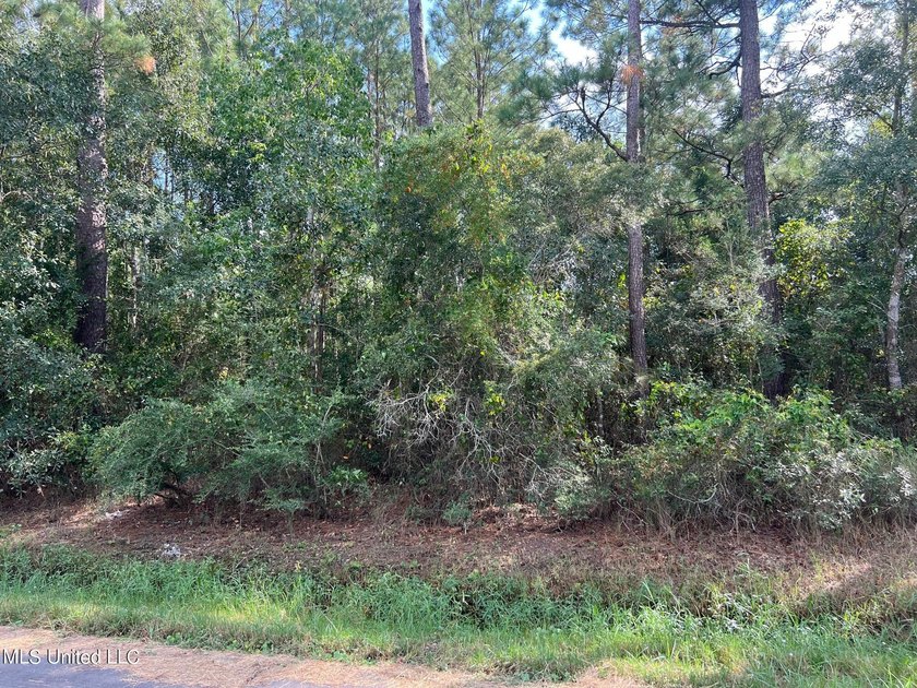 Build your home or weekend get-a-way on this deep water canal - photo 2