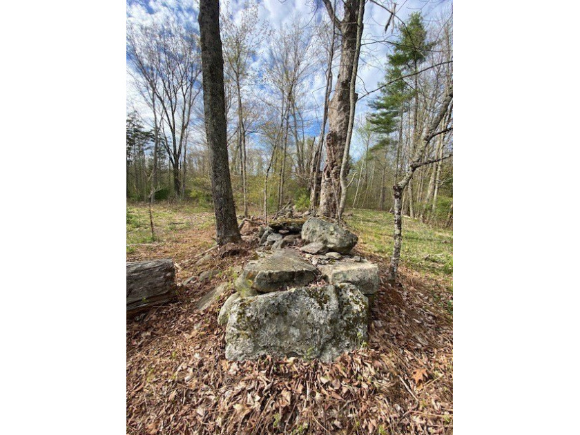NEW PRICE! EVER DREAM OF YOUR VERY OWN POND! Skip some rocks - photo 2