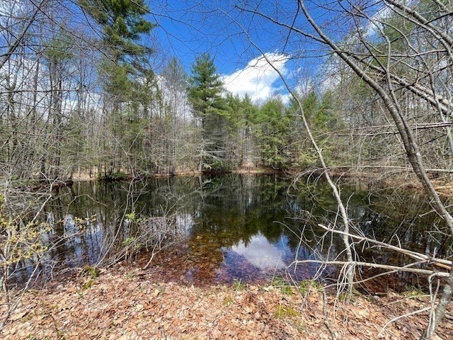 NEW PRICE! EVER DREAM OF YOUR VERY OWN POND! Skip some rocks - photo 4