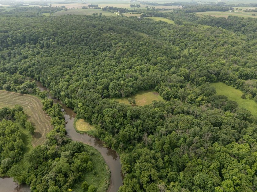 Nestled deep within 60 acres of pristine woodland just 15 - photo 45