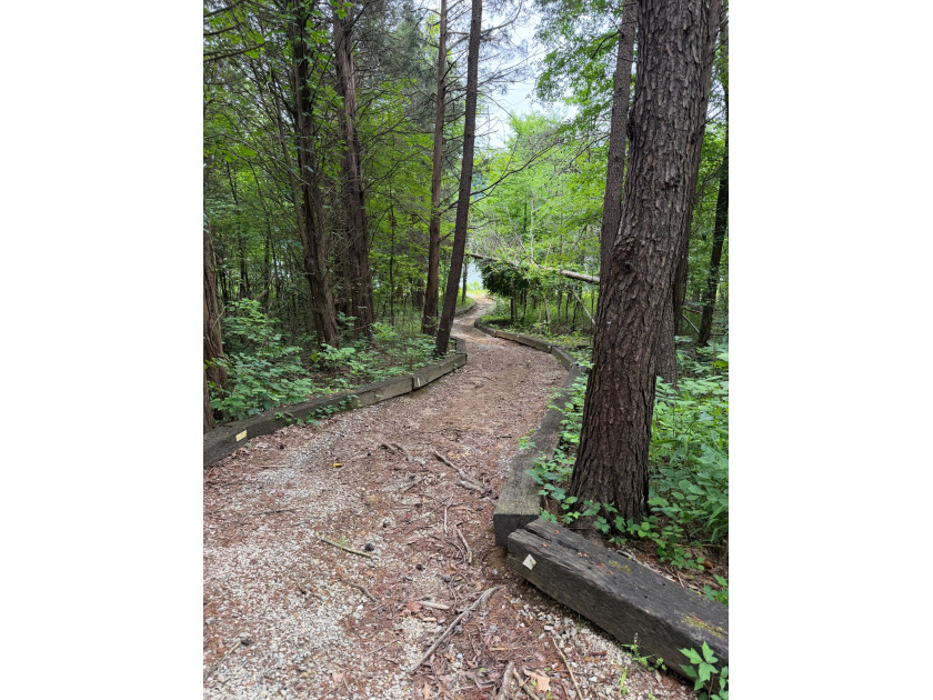 Easement to dock location - photo 3