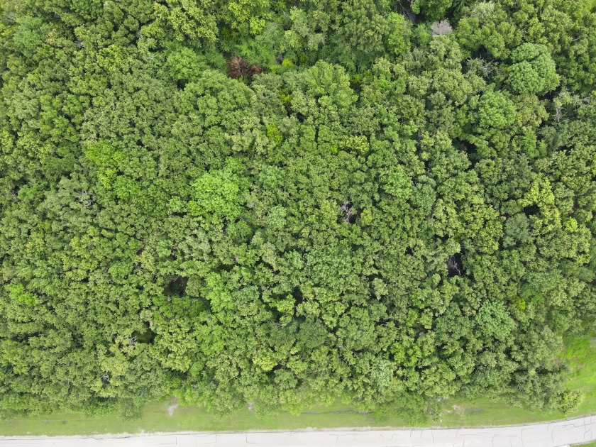 2 acre Wooded Lot in The Shores at Richland Chambers Lake - photo 24