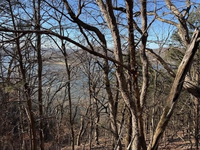A rare and highly versatile 10.5+/- acre tract located in Camden - photo 3