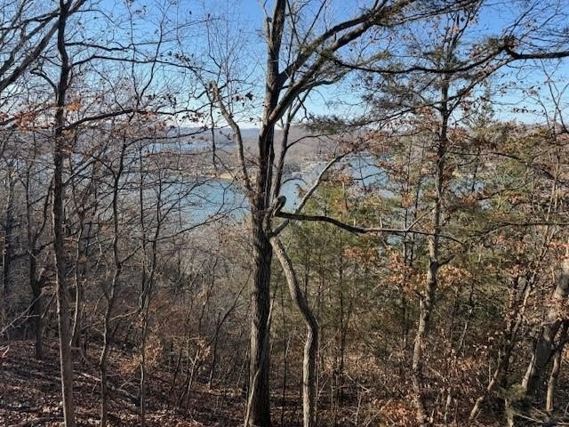 A rare and highly versatile 10.5+/- acre tract located in Camden - photo 8