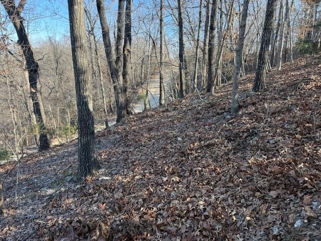 A rare and highly versatile 10.5+/- acre tract located in Camden - photo 9