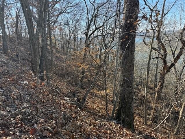 A rare and highly versatile 10.5+/- acre tract located in Camden - photo 10