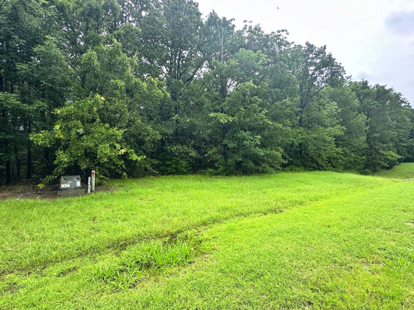 2 acre Wooded Lot in The Shores at Richland Chambers Lake - photo 3