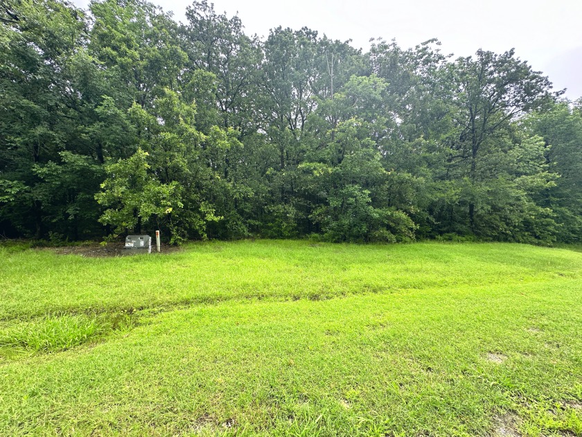 2 acre Wooded Lot in The Shores at Richland Chambers Lake - photo 10