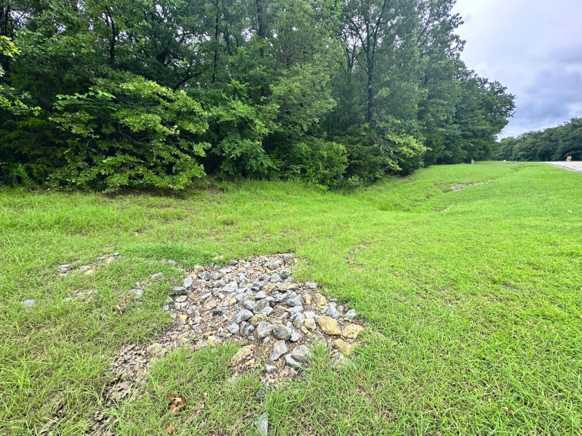 2 acre Wooded Lot in The Shores at Richland Chambers Lake - photo 2