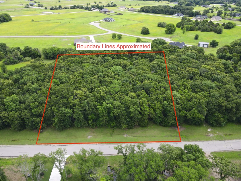 2 acre Wooded Lot in The Shores at Richland Chambers Lake - photo 13