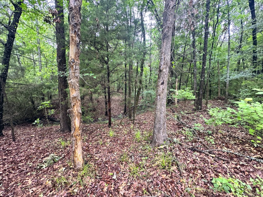 2 acre Wooded Lot in The Shores at Richland Chambers Lake - photo 29