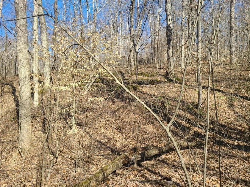 This 3.859-acre lot in the desirable Coppersmith Cove - photo 2