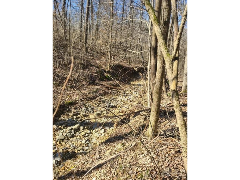 This 3.859-acre lot in the desirable Coppersmith Cove - photo 4