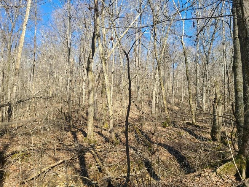This 3.859-acre lot in the desirable Coppersmith Cove - photo 6