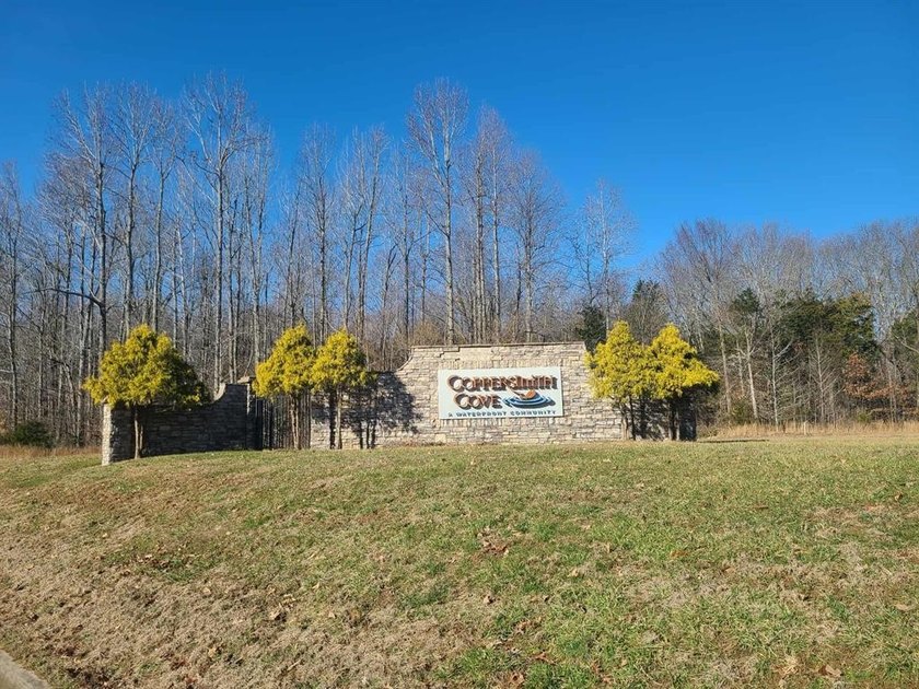 This 3.859-acre lot in the desirable Coppersmith Cove - photo 7