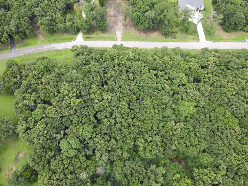 2 acre Wooded Lot in The Shores at Richland Chambers Lake - photo 21