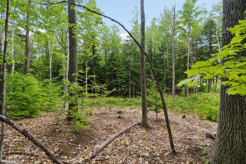Canaan Street Lake is a pristine 291-acre jewel tucked away in - photo 8