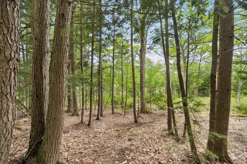 Canaan Street Lake is a pristine 291-acre jewel tucked away in - photo 9