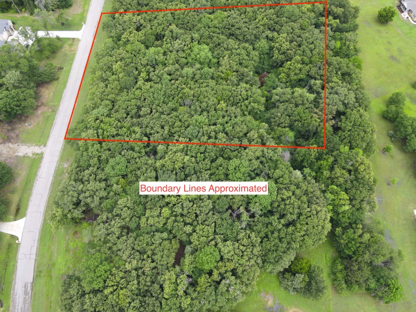 2 acre Wooded Lot in The Shores at Richland Chambers Lake - photo 4